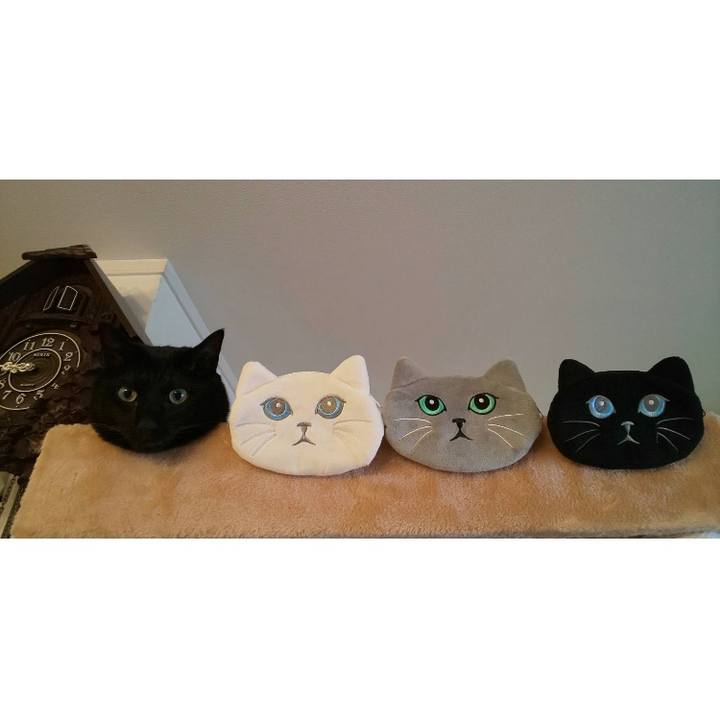 Ced45000 84db 45cf 8416 5f3e0fbfd5b7 1595723161841