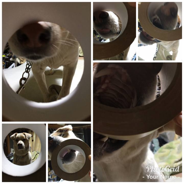 Ced451c3 81cb 45bb 925b 2bc34ec712df 1508366236778