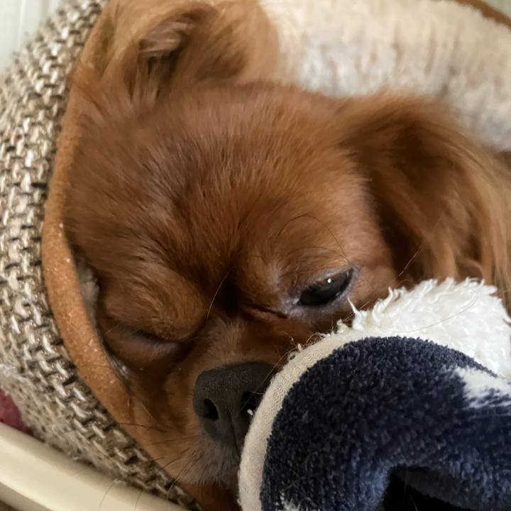Ced46ab0 1ab7 4753 a1b4 c5668a746994 1691810760429