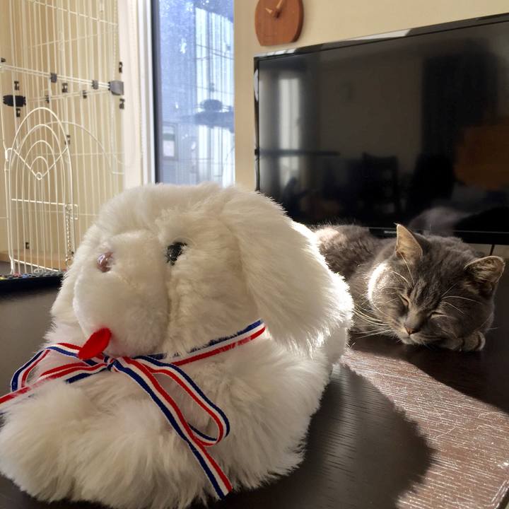 Ced4afca a0e7 439e b682 500697a89f32 1543713104362