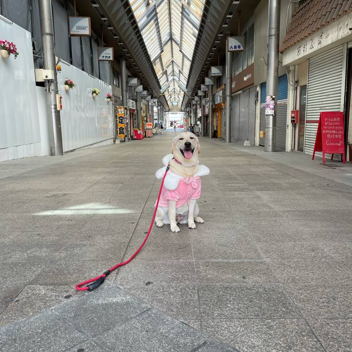 Ced4c5c3 c2fc 49c7 a0c9 de7a92b68c7f 1634562902629