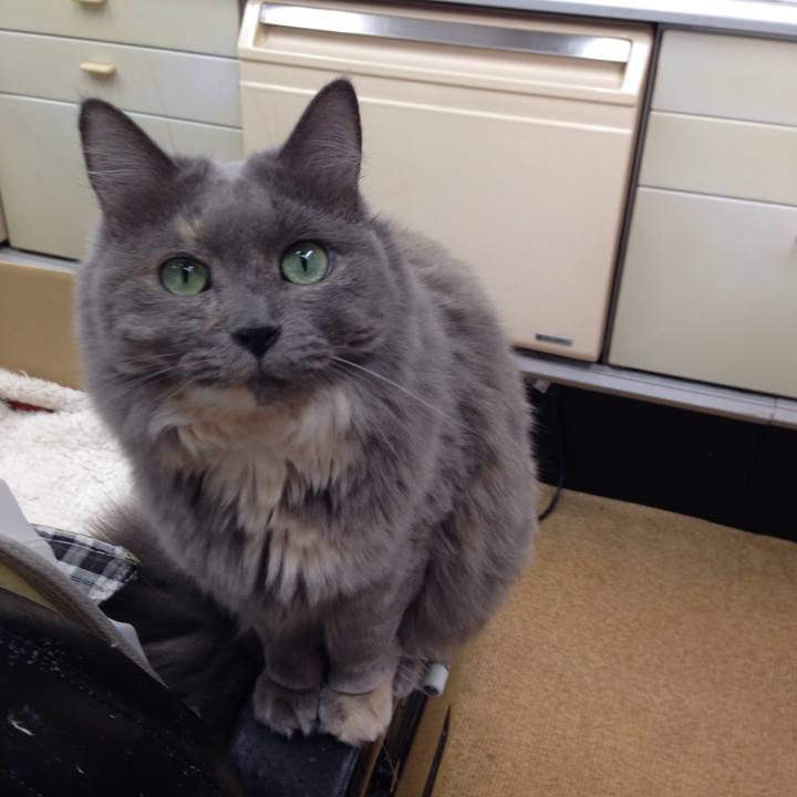 Ced4f550 990a 485f b142 d402257a216c 1512260887149