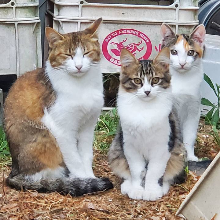 Ced50536 f1f2 4b26 bc34 eac784ec998b 1690446889406