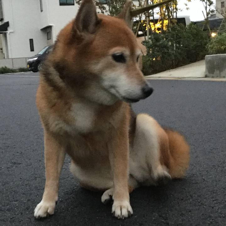 Ced52abe 0bed 4f1d 8248 3b1999b211a0 1606296615909