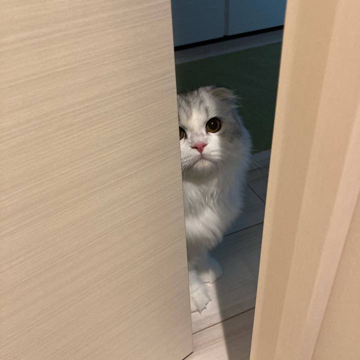 Ced52f25 e17e 4a15 b165 d424a04acfbc 1603543499465