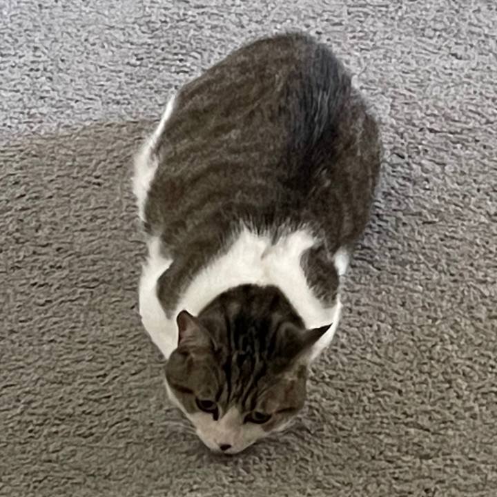 Ced61624 fe52 4334 90bd 15c5a18ef496 1695688221990