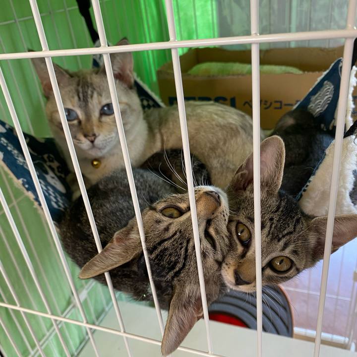 Ced62876 13a5 4661 a607 83f29e11d3fd 1723001911955