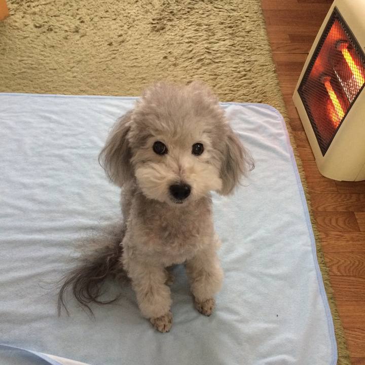 Ced6525f f5f8 49c8 a789 e8f69b993d48 1510700744584