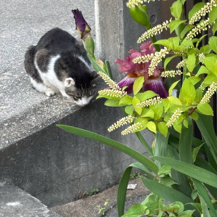 Ced67ff0 c28c 45fc 9ec6 03ceae7a059e 1746076665820