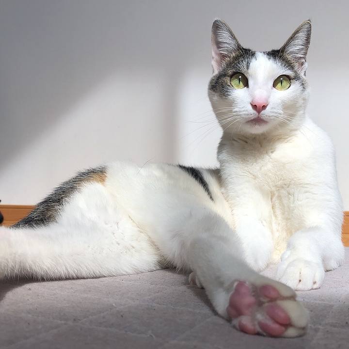 Ced6b9b4 877b 400f 8cd2 a8ea84b1ebc0 1646627641835