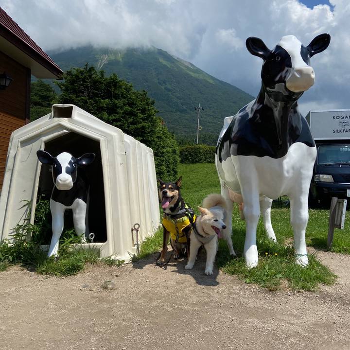 Ced6c803 5786 4252 8a13 d9dc74c303f1 1689599500563