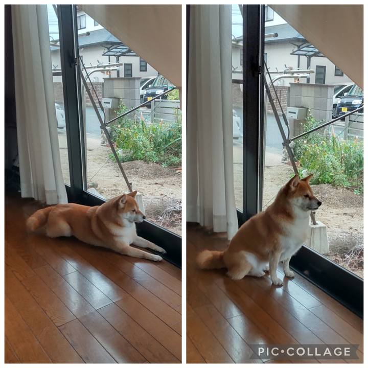 Ced6cb02 b8c1 4c13 94ff c887efab0586 1761110539693