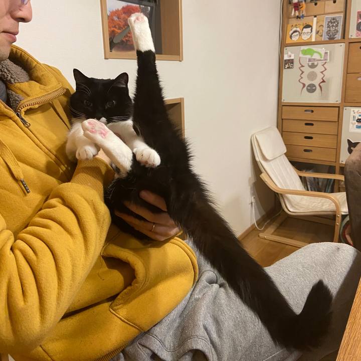 Ced72d83 93d5 4f77 8a5b 0bde4abe3e93 1612966205408