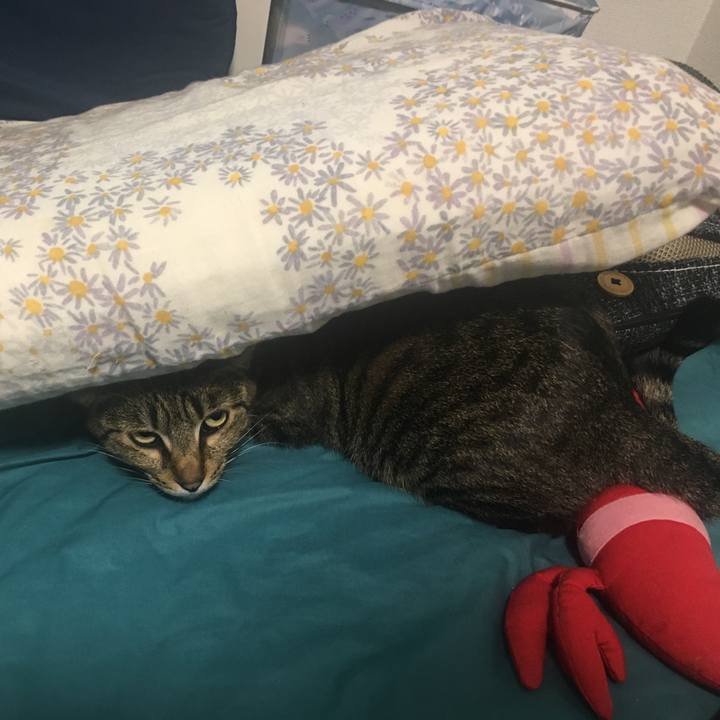 Ced76549 c8d9 44a8 99cd 18108d2f79de 1557652855851