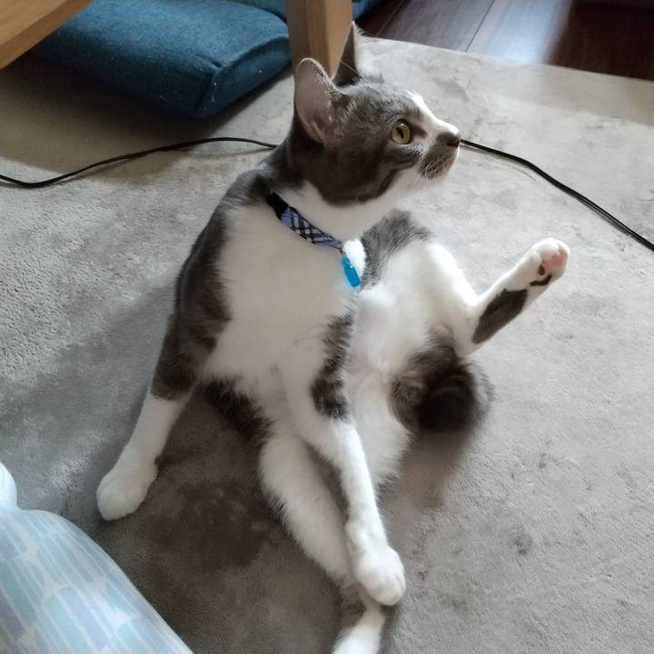 Ced79022 42c0 4b3d a23b 6a02c22cb0f3 1597795519479