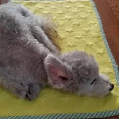 Ced7a229 992c 451d 8533 efea2dcaa8ee 1591317363968