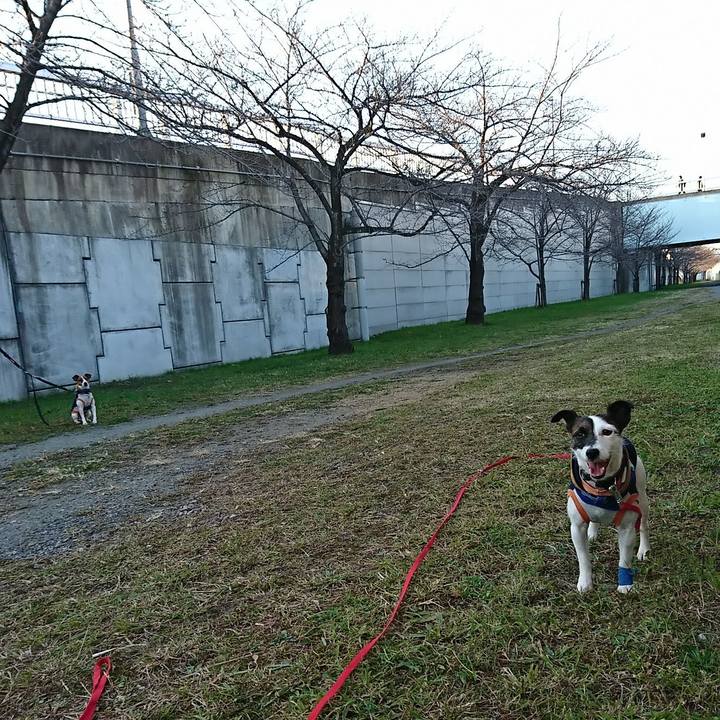 Ced7e04d dcce 4693 9ccc b96171e27404 1545898720729