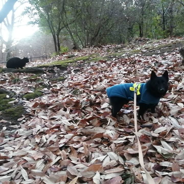 Ced7e5bc 56d5 4b90 88e7 b4cb24c7ed5b 1641938593419