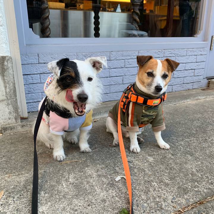 Ced7ec18 cd9a 422c 9e17 1d4690da026f 1618041561165