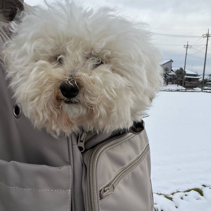 Ced7f149 2cd0 4065 91bf 5285f0e072cf 1770538882613