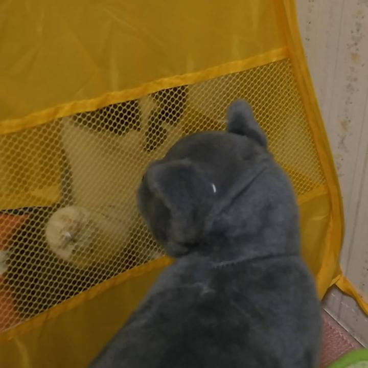 Ced814eb fac0 476d 87bd 9349b55a1a3a 1568935272023