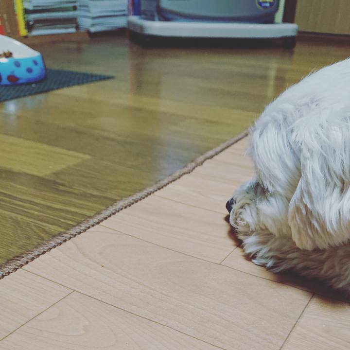 Ced88fba 2f35 4286 9c1f 082ce08230bd 1547466633124