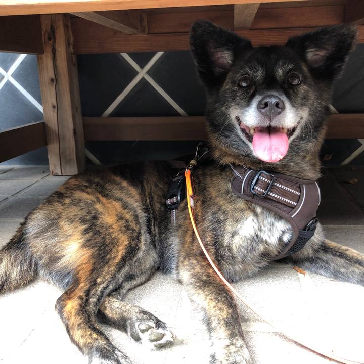 Ced91899 2213 4ed0 bfe2 52c7f43cc01e 1628678486928