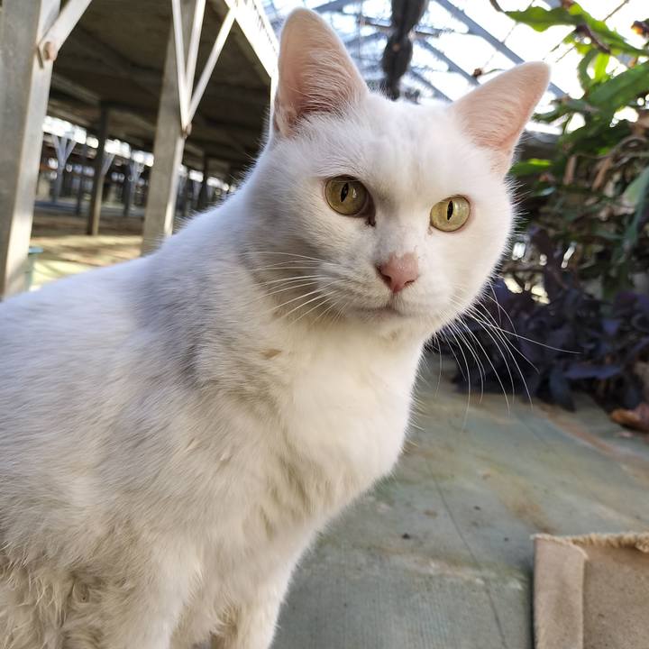 Ced921c2 89e4 439a 87c8 e3244a39cad1 1763943835734