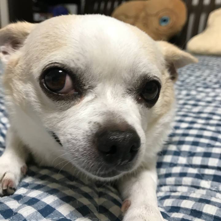 Ced978cb 05c1 4f63 983f 723842d6bf90 1535288774810