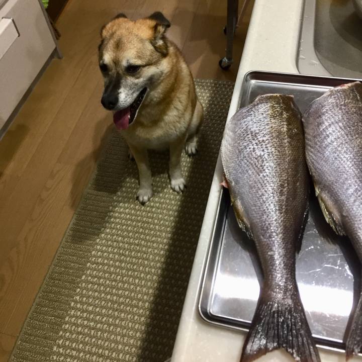 Ced979a9 2812 4931 9673 2ed92eaa68a0 1560503660893