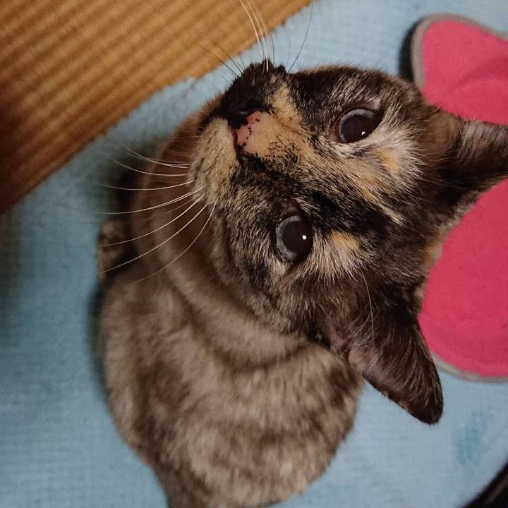 Ced9adb4 6d9f 4980 9cc2 6dbed4078e5f 1558824214168