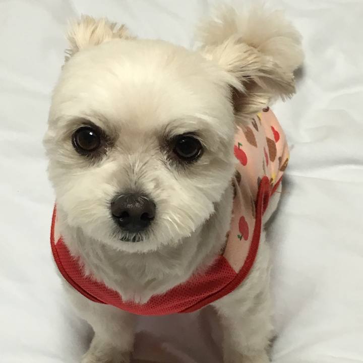 Ced9bdee c993 4a25 9ba3 460cf34df775 1559470408292