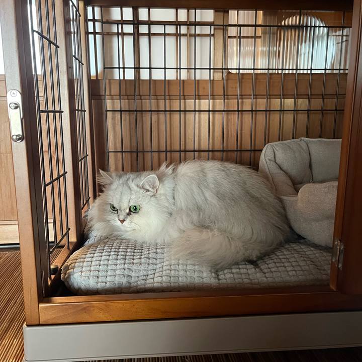 Ced9d6a1 03a9 46b6 8839 9f262b74cdee 1640344553849