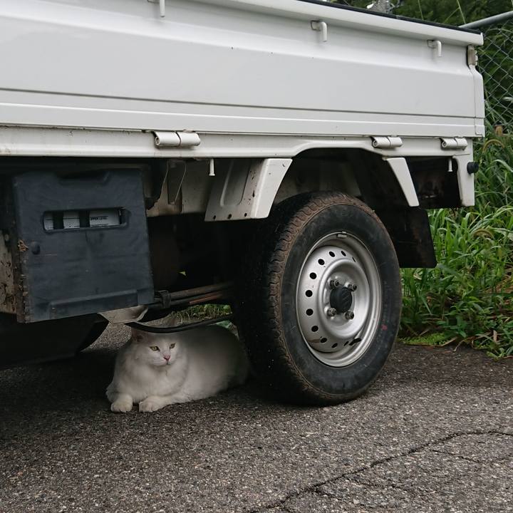 Ceda34bc d486 45d5 99af d7b9624e3b07 1567635931381