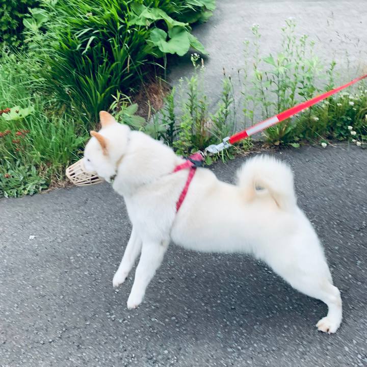 Ceda6324 5acf 457a 868f f093546b9646 1592773101085