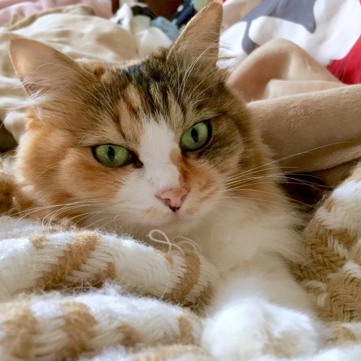 Ceda8bc2 1c85 481f bd38 33dfbdaee09a 1568605272342