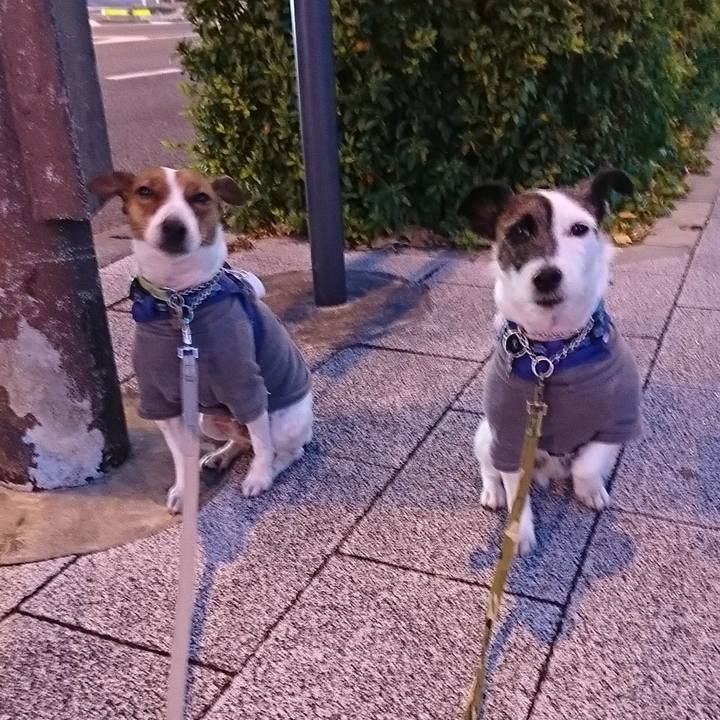 Ceda9bcb 5f84 4734 897f 9737efca3fbc 1577915267206