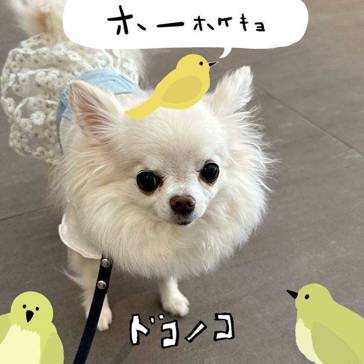 Cedad20b b2b2 4b95 b878 2985eb343996 1711263896239