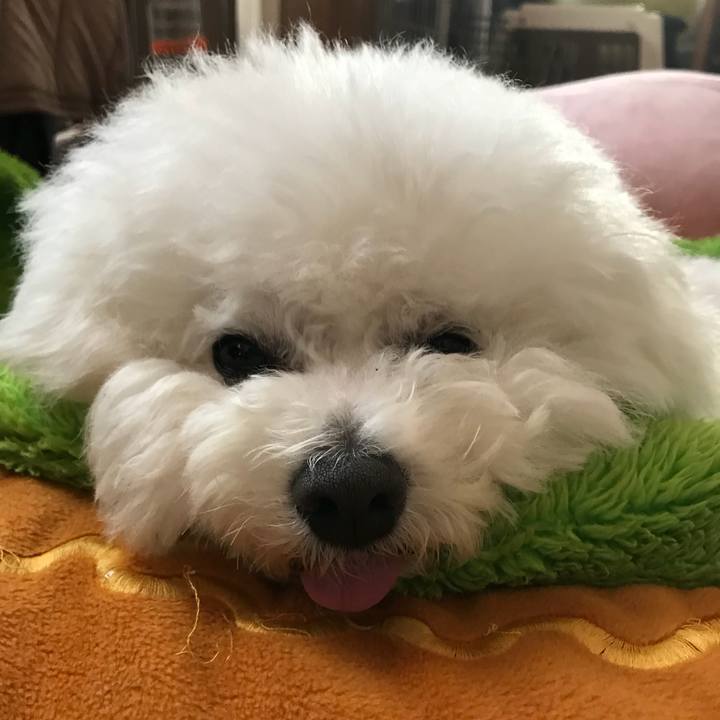 Cedaee27 cb59 4a0d ab52 a643f47f861e 1549349536952