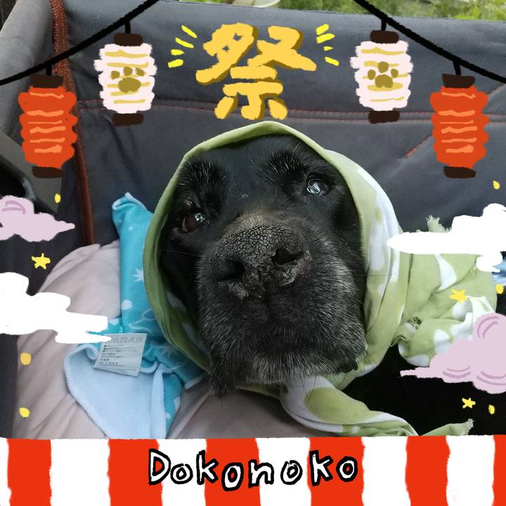 Cedb653a 3e04 4c2d a794 e697e3839b19 1723421749784