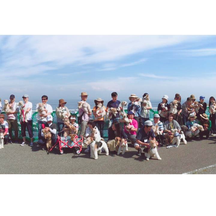 Cedb755c 7256 4a92 97bd ed7cddf2ab66 1557722340242