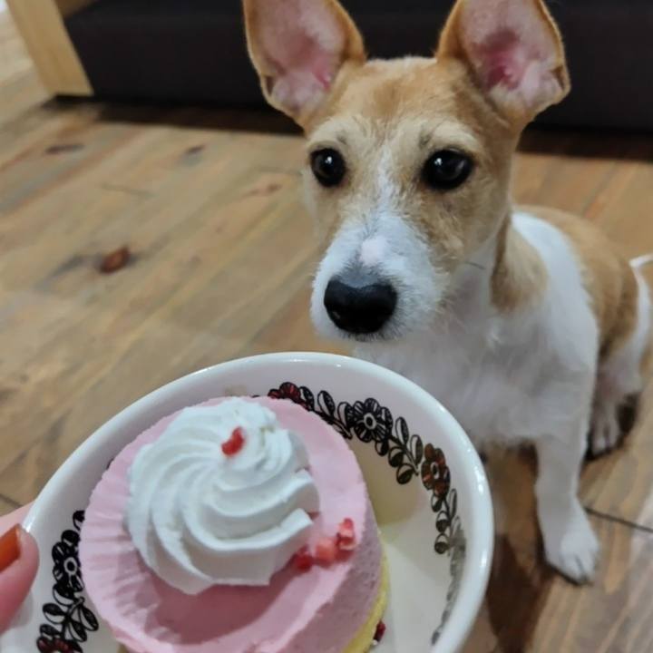 Cedb85da 3c3d 4407 b435 960fa6e321be 1731682796049