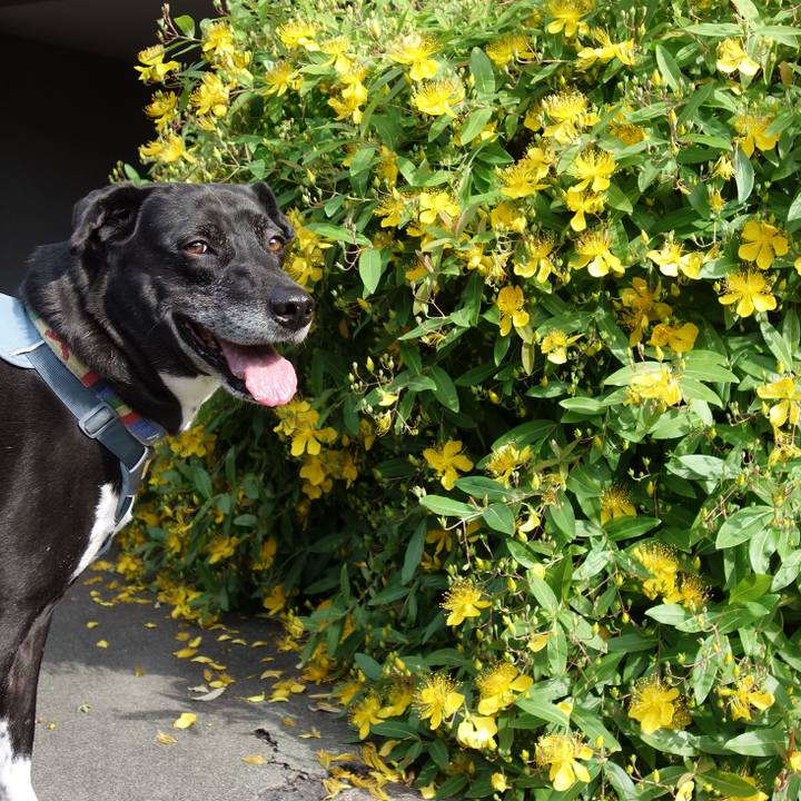 Cedb8dad def2 4902 b6d9 a12f3ded2f28 1716255863899