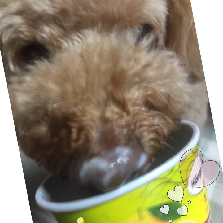 Cedbd577 afb3 43fc 81d7 5bdecc08e12c 1531393336484