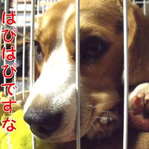 Cedbdb1d 3ac2 4e23 a141 c50f476323bf 1693268677588