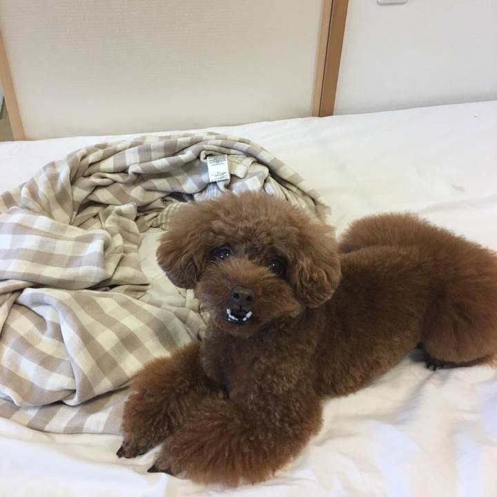 Cedbdcae 1896 4264 bf77 4c151e067833 1564443347849