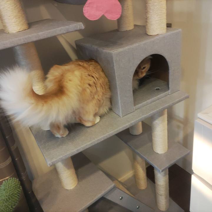 Cedbf569 44a4 4814 acda 6bdb186d6a15 1679005331594