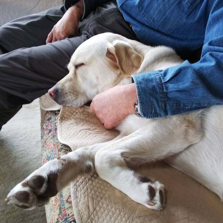 Cedc19e8 4577 4c93 b726 cf4a0eb72bc3 1557192373315