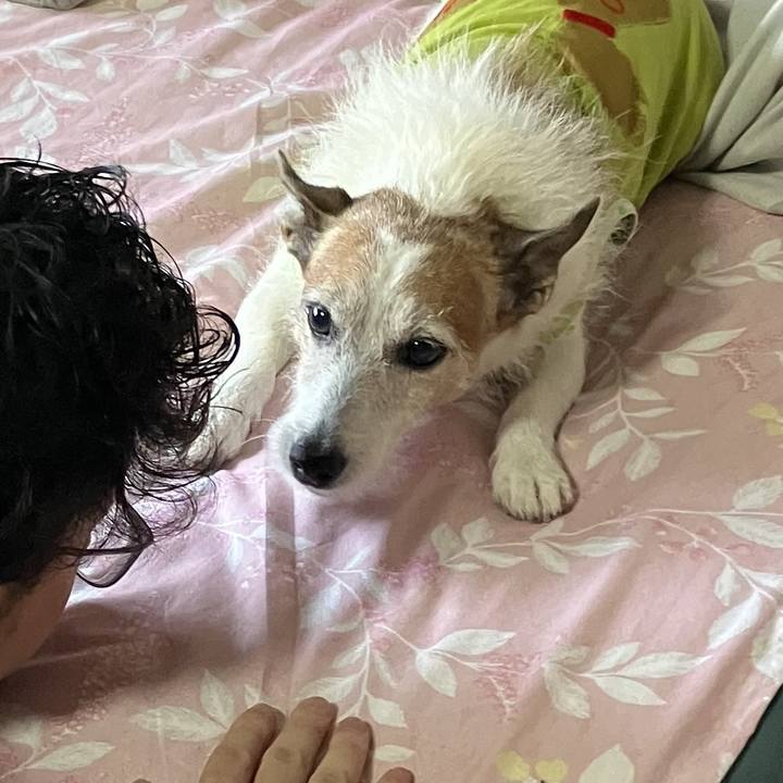 Cedc1bb6 29b4 44d8 ae65 d90906fbe7e5 1730506287083