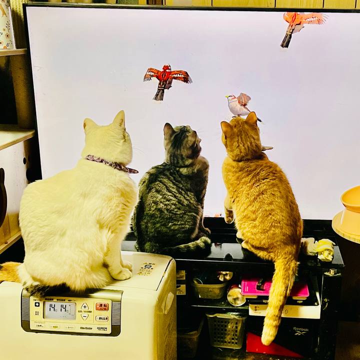 Cedc1cf8 1b10 4ab8 ab30 f142afa72cfc 1769864553431